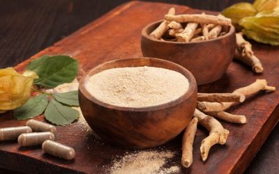 Régime ayurvédique : une sagesse millénaire à découvrir